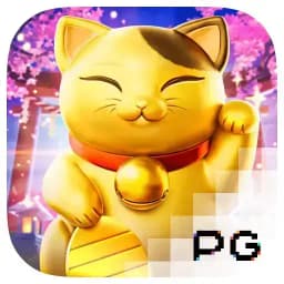 five0fourhollywood: Lucky Neko